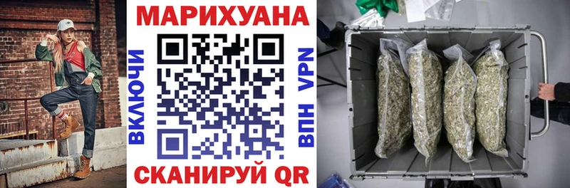 Конопля AK-47  Купить закладки  Шагонар 